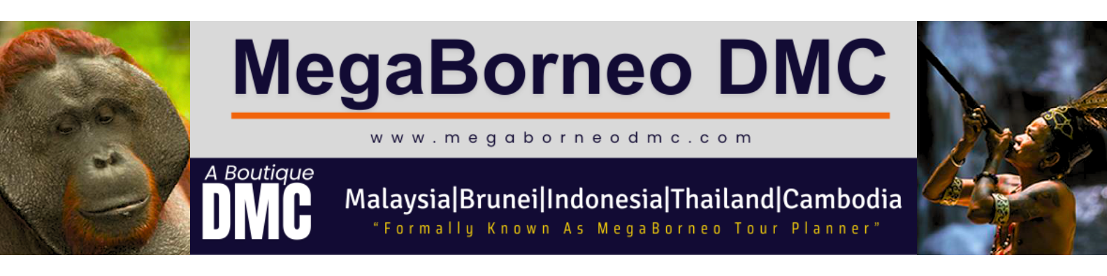 megaborneo Banner